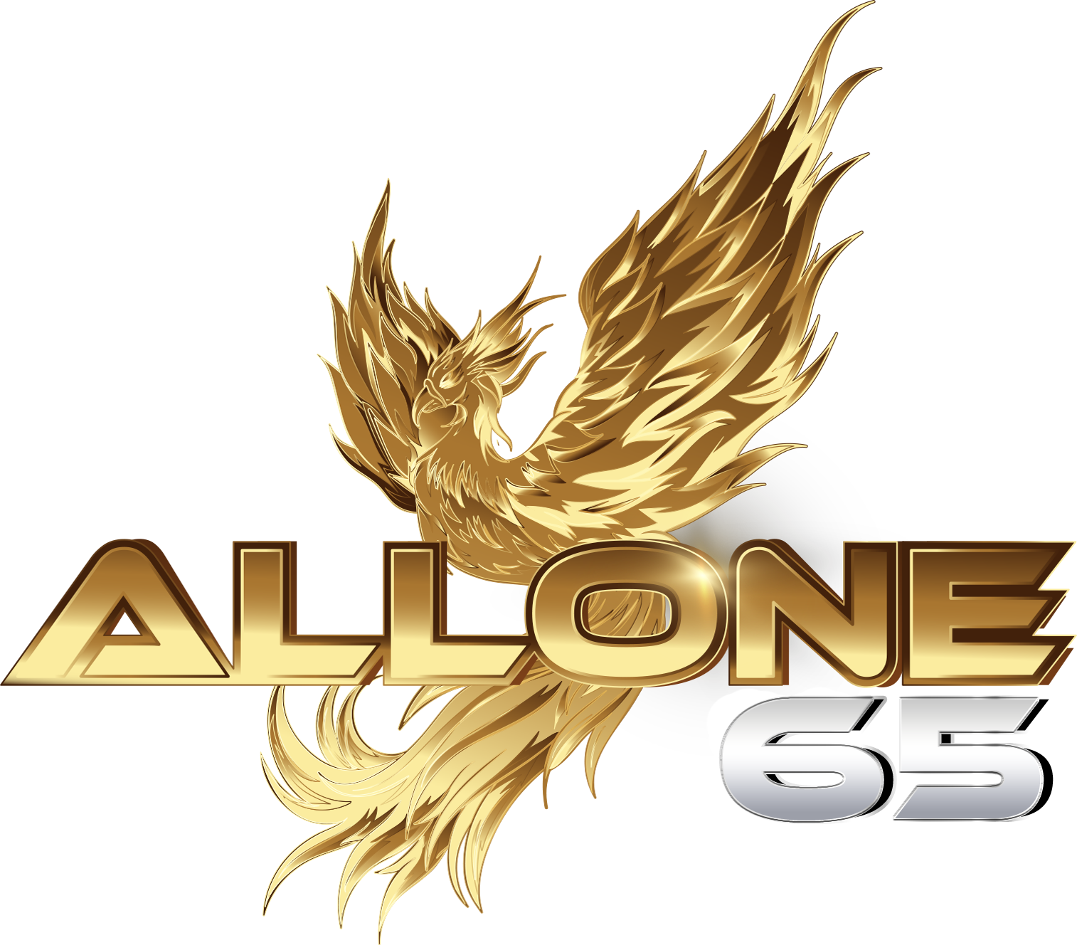 ALLONE65